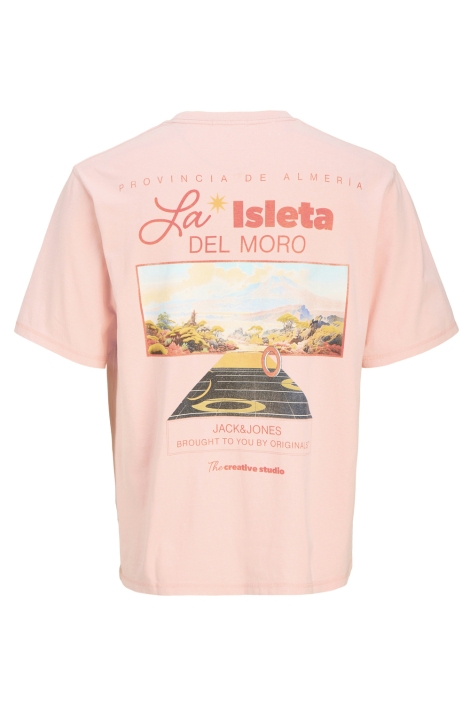 Jack & Jones joralmeria world tee ss crew neck